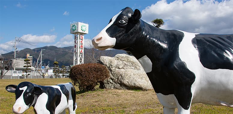 イメージ：愛媛県酪農業協同組合連合会