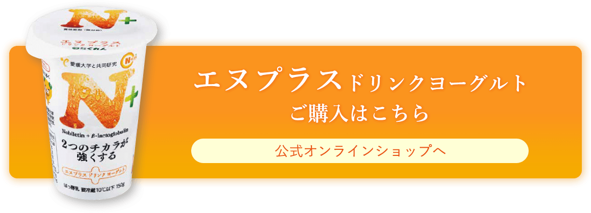 エヌプラスのご購入はこちら