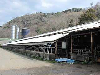 イメージ：小野田牧場(西予市)